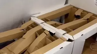 Спортшылар Олимпиада ауылындағы антисекс-төсекті сындырып тынды