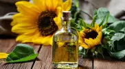 Қазақстанда күнбағыс майы қаншалықты қымбаттады?