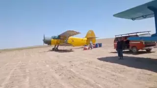 Түркістан облысында "коронавирус шашылды" деп видео таратқан тұрғын ұсталды