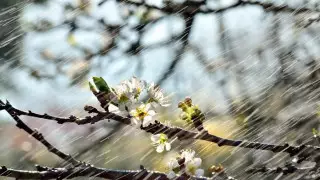 Жаңбыр және аптап. Демалыс күндері ауа райы қандай болады?