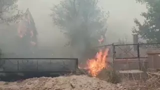 Алматыда Боралдай зиратынан өрт шықты