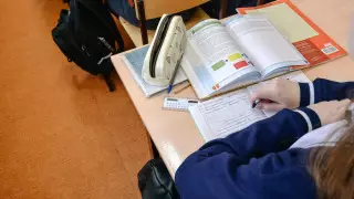 Мектеп оқушылары қалауы бойынша қашықтан оқи ала ма?