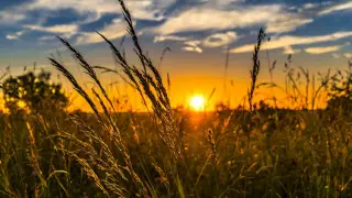 Қазақстанда алдағы күндері ауа райы қандай болатыны айтылды