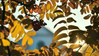 Қазақстандықтар қыркүйекте қанша күн демалады?