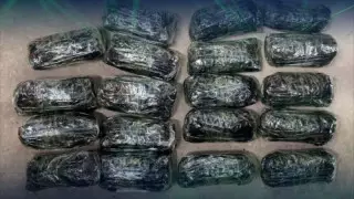 50 келі күмісті шекарадан жасырын өткізбек болған тұрғын ұсталды