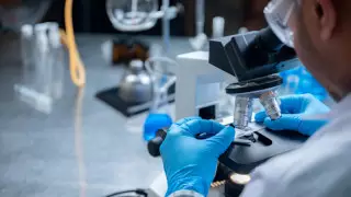 АҚШ коронавирустың шығу тегі туралы нақты қорытынды жасай алмады