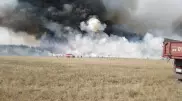 Ақмола облысында орман өртенді