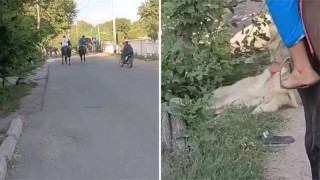 видеодан алынған фото