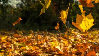 Қыркүйекте ауа райы қандай болады?