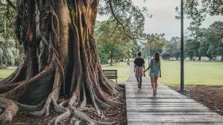 Мәдени шок! Турист Аустралиядағы көрген қызығын видеоға түсіріп алған