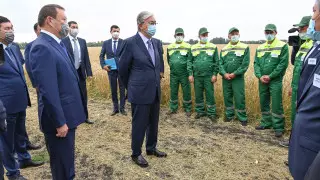 "Әлі ерте" - Тоқаев экспорт салығын енгізу мәселесі туралы