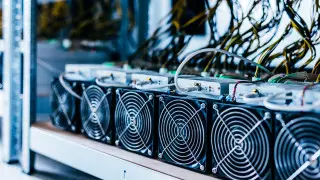 Алматы әуежайында ірі көлемде ұрлық жасады деген бортсерік әшкереленді