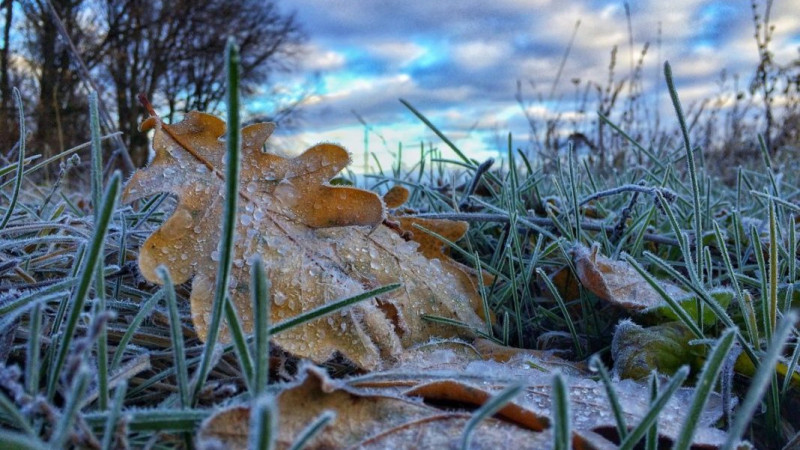 Иллюстрациялық фото