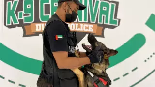 БАӘ әуежайларында коронавирус жұқтырғандар ит көмегімен іздестіріледі