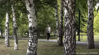 Қазақстанда кейінгі тәулікте 2781 адамнан коронавирус анықталды