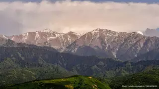 Алматы маңында жер сілкінісі болды