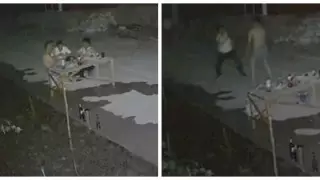 Шымкентте жартылай жалаңаш шенеуніктердің төбелесінен кейін тексеріс басталды