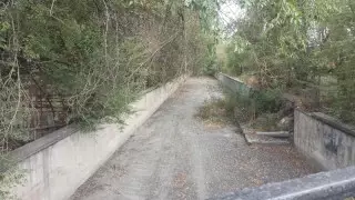 Алматылықтар Қонаев атындағы каналдың жағдайына наразы болды