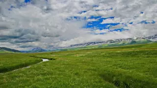 Әйел үстемдігі: әйел еркекке зейін қояды