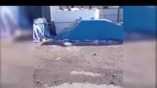 Атырау облысында тұрғын мемлекеттік туға байланысты Қазнетті шулатқан