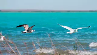 Қысқа порно клиптер