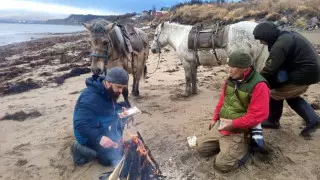 Ұлыбритания азаматы жылқымен әлемді шарлауға аттанды