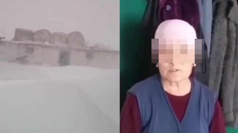 Видеодан кадр