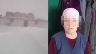 Павлодар облысында жауған қарды видеоға түсірген әйел кешірім сұрады