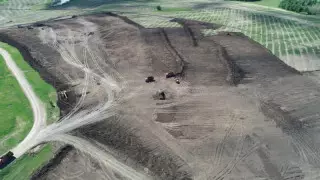 Қазақстанның солтүстігінде кен орнын салу үшін 48 гектар орман оталады