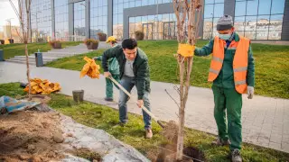 "Көзбояушылық болмасын". Тоқаев көгалдандыру бағдарламасы туралы пікір білдірді