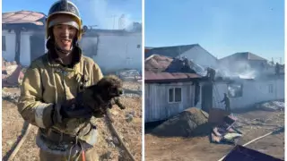 Ақтөбеде күшікті өрттен құтқарды