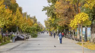 Кейінгі тәулікте қанша адам коронавирус жұқтырғаны анықталды