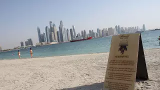 БАӘ-де медуза маусымы қашан?