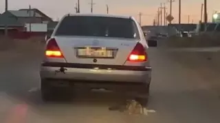 Оралда итті көлігіне байлап, көшеде сүйреген жүргізуші жазадан құтылды