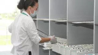 Қазақстандықтар әдемі мемлекеттік нөмірлерге 4,3 миллиард теңге жұмсады