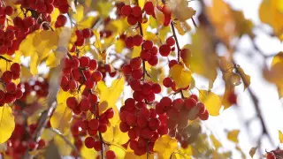 Қазақстанда демалыс күндері ауа райы қандай болады?