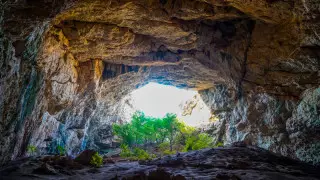 Секс Шагзода өзбек актрисасы