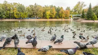 Келесі аптада Алматыда ауа райы қандай болады?