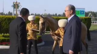 Бердімұхамедов Тоқаевқа ақалтеке мен тазы күшігін сыйға тартты