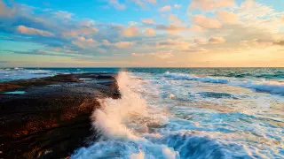 Жалаңаш сумо балуандарының суреттері