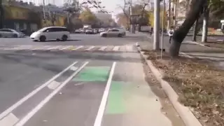 Алматыда жүргізушілер жаңа веложолаққа шағымданды