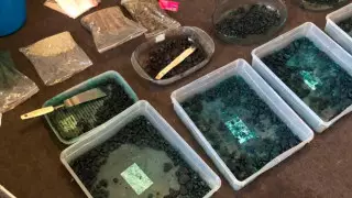 Алматыда есірткі зертханаларын ашқан тұрғындар ұсталды - ҰҚК