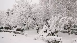 Қарашада ауа райы қандай болады?