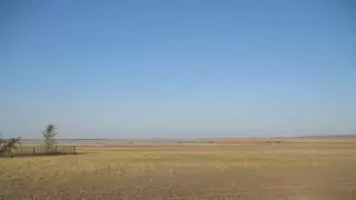 Жазда жоғалған теміртаулық 37 жастағы тұрғын өлі табылды