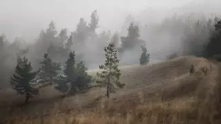 Қазақстанның басым бөлігінде тұман түседі