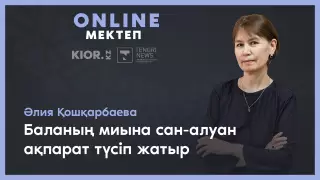 "Балалар мен мұғалімдерге үш есе көп күш түсіп жатыр" - педагог қашықтан оқыту нәтижелері туралы