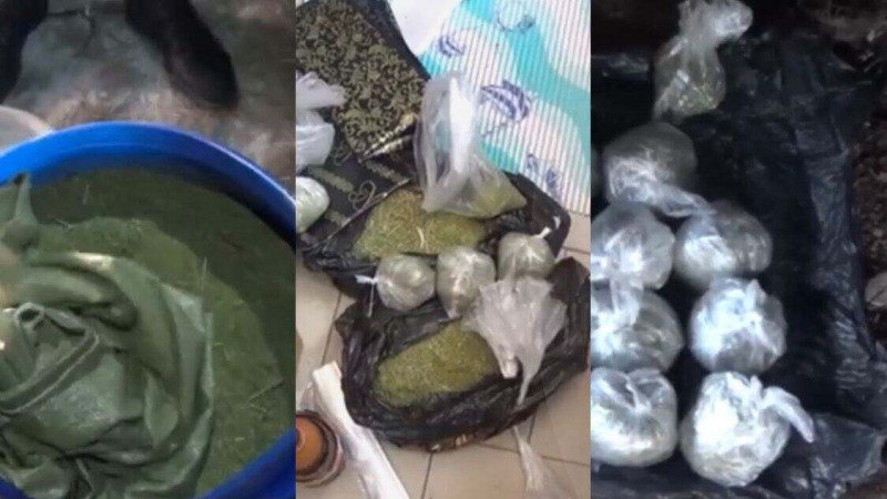 Фото: polisia.kz