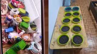 Алматы облысында есірткі зертханасы анықталды