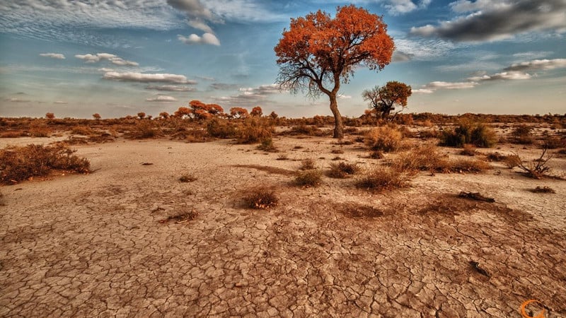 Фото © QazaqGeography, автор - Айдар Аязбаев