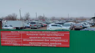 БҚО-да ресейлік нөмірлі автокөлік иелері 500-ге жуық қол жинады